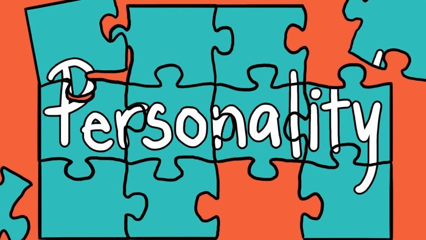 How personality assessments can help us in our personal and professional lives.
